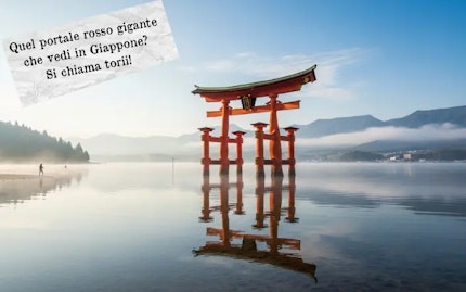 Quel portale rosso gigante che vedi in Giappone si chiama torii